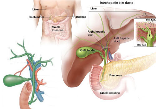 Dr. Neeraj Dhar's Hospital & Clinic Gallery - Image 11