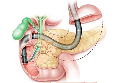 Dr. Neeraj Dhar's Hospital & Clinic Gallery - Image 13