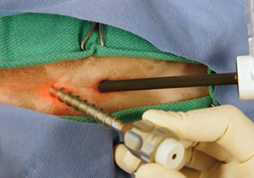 Dr. Neeraj Dhar's Hospital & Clinic Gallery - Image 15